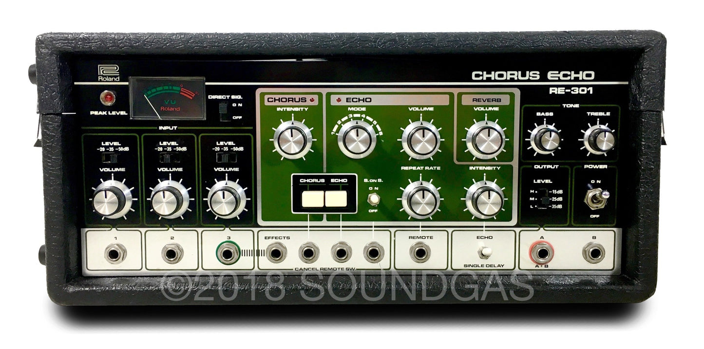 Roland RE-301 Chorus Echo