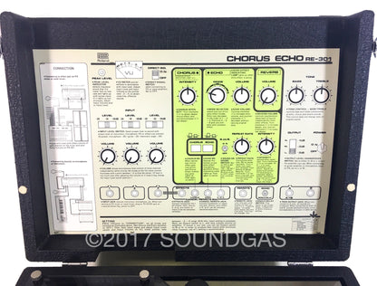 Roland RE-301 Chorus Echo