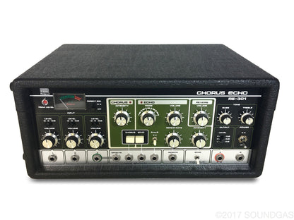 Roland RE-301 Chorus Echo