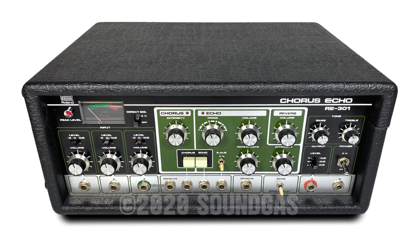 Roland RE-301 Chorus Echo