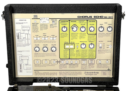 Roland RE-301 Chorus Echo