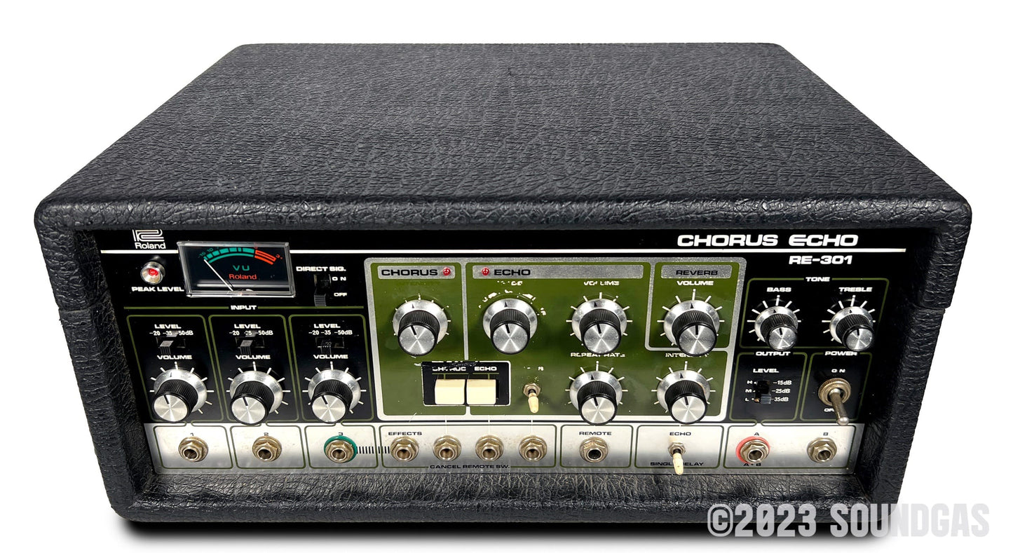 Roland RE-301 Chorus Echo