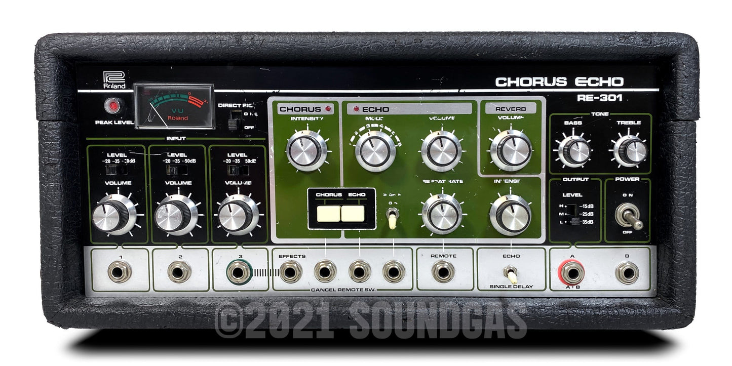 Roland RE-301 Chorus Echo