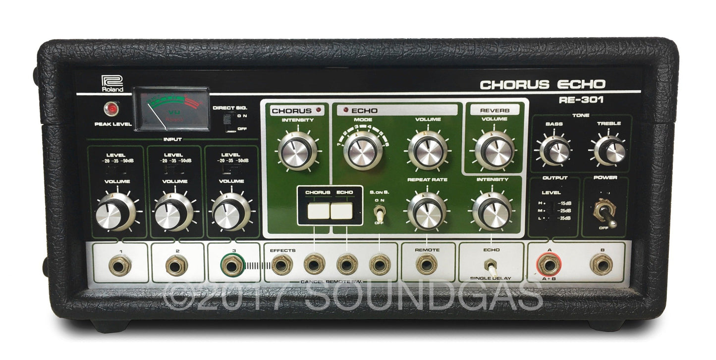 Roland RE-301 Chorus Echo