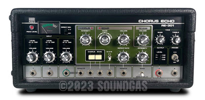 Roland RE-301 Chorus Echo