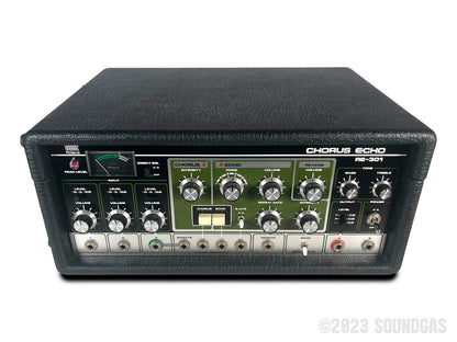 Roland RE-301 Chorus Echo