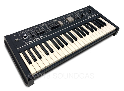 Roland RS-09