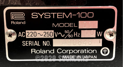 Roland System-100 Model 101 & 102