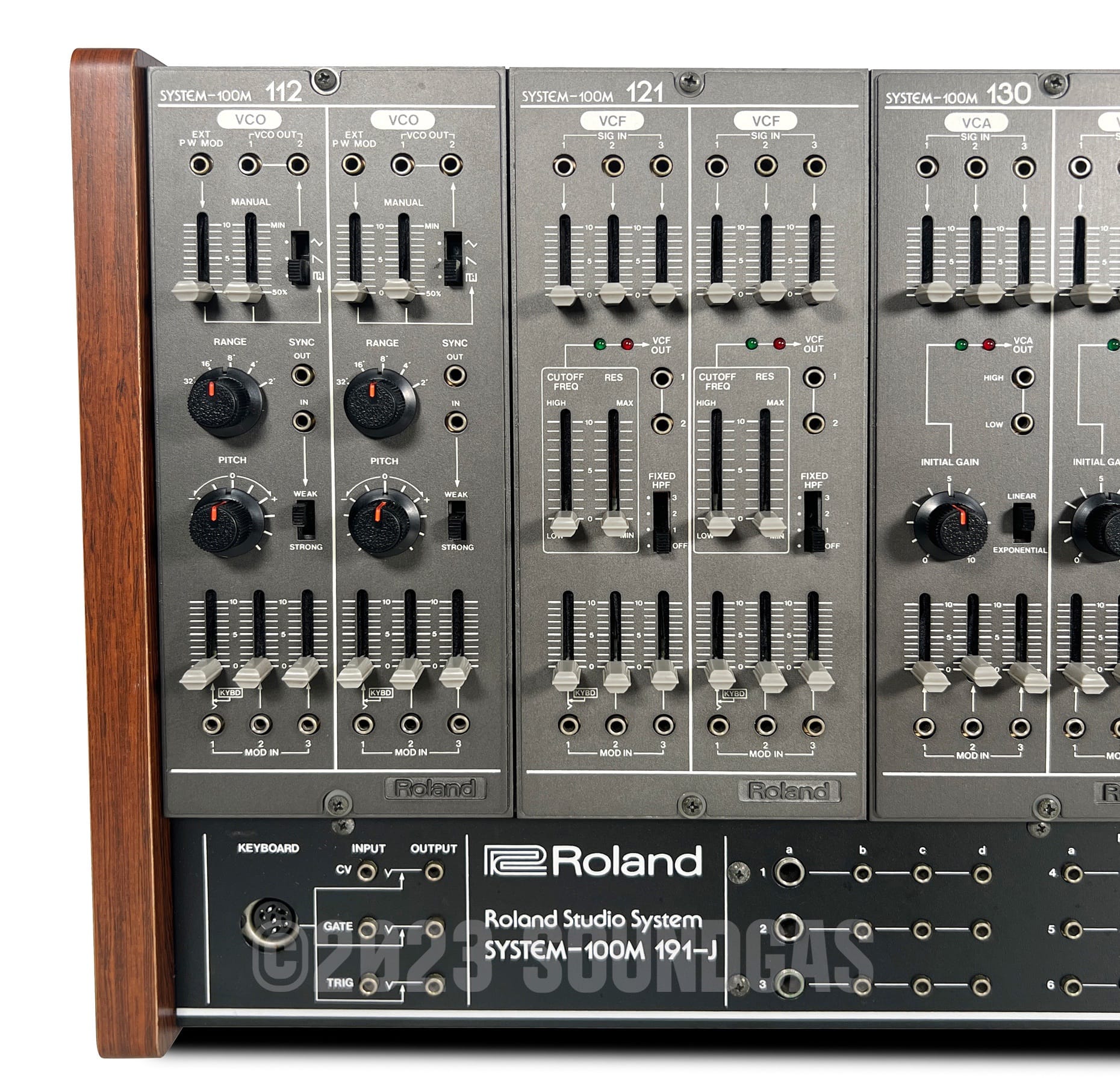 Roland System-100M