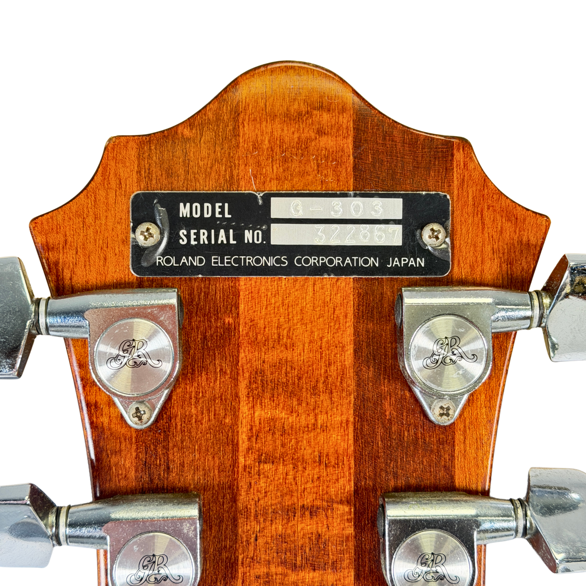 Roland_GR-300 (404784) GS-300 (322867)