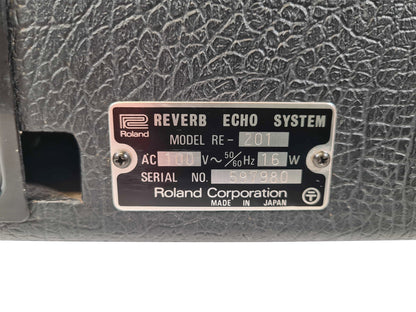 Roland RE-201 Space Echo Early Preamps