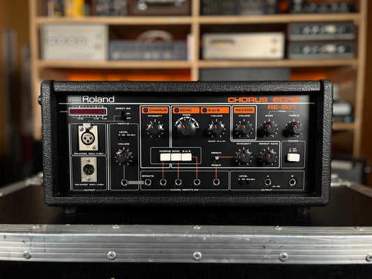 Roland RE-501 (145985)