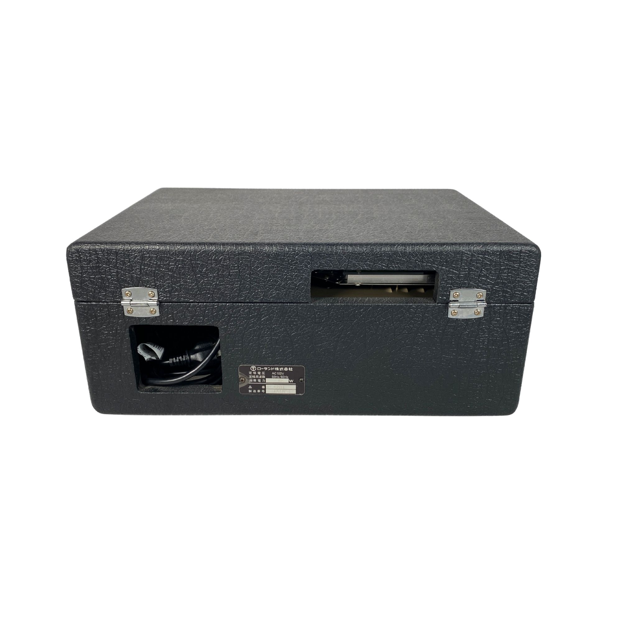 Roland RE-201 Rear (134094)