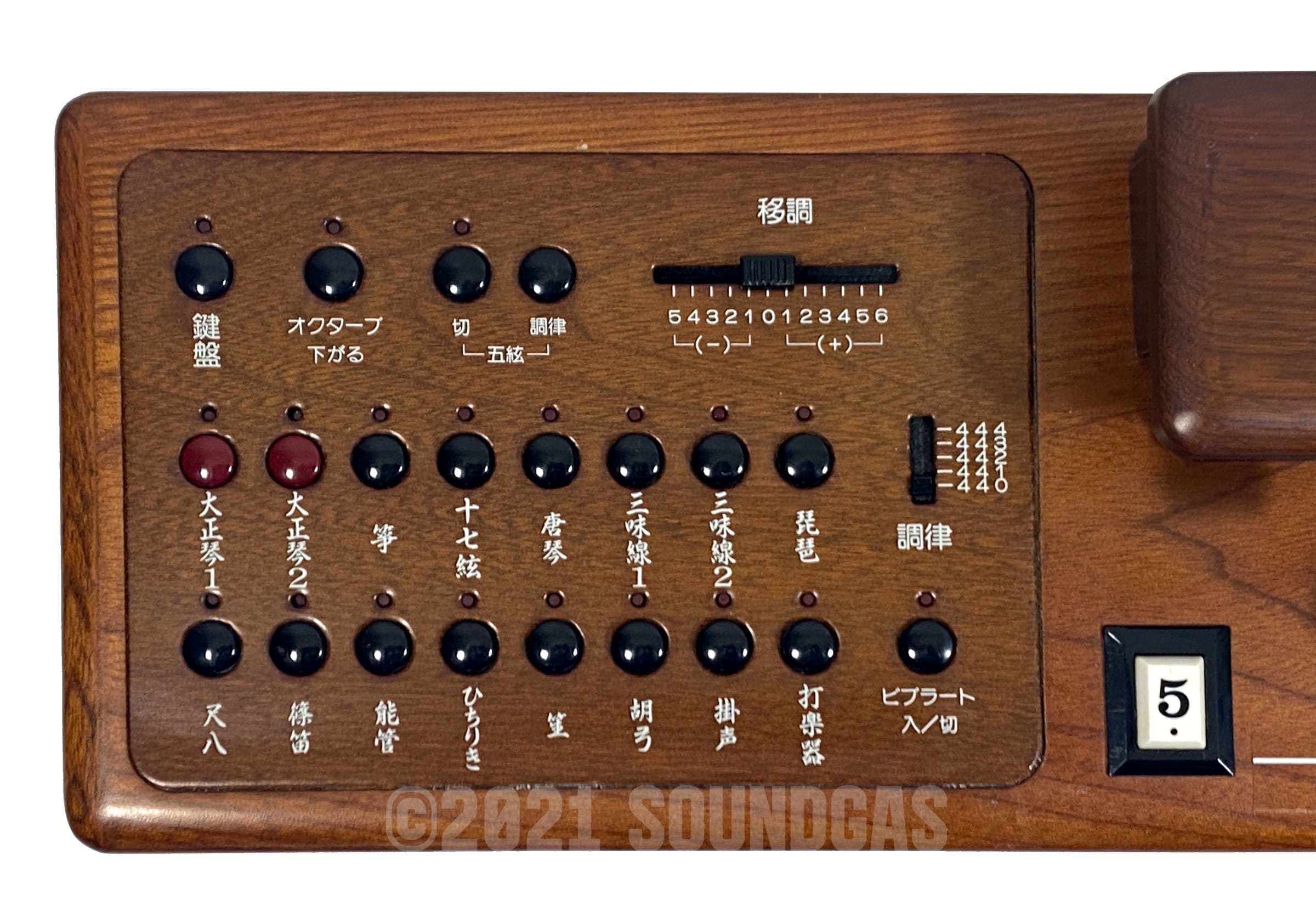 Suzuki TES-100 Waraku Koto Synth FOR SALE – Soundgas