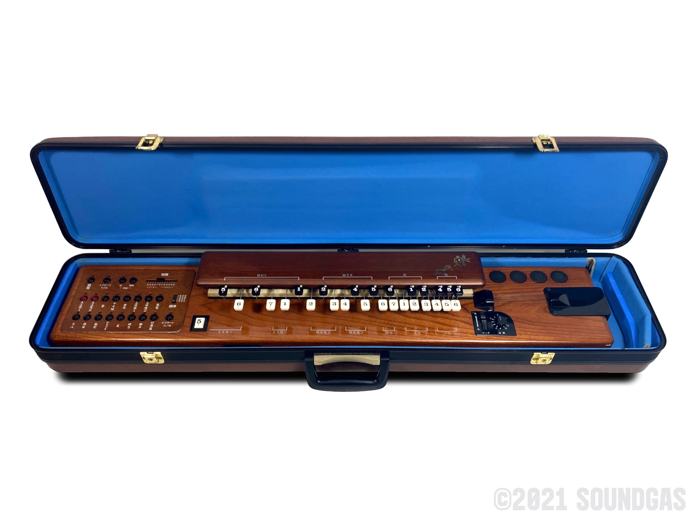 Suzuki TES-100 Waraku Koto Synth FOR SALE – Soundgas