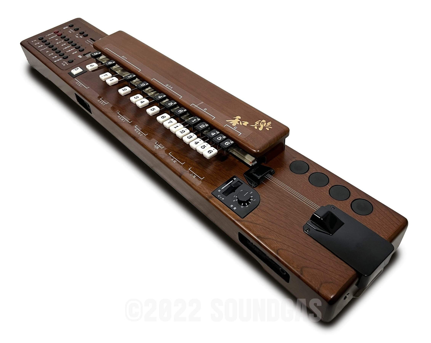 Suzuki TES-100 Waraku Koto Synth