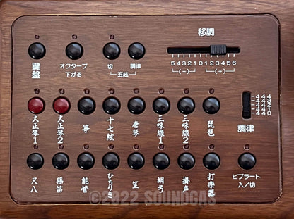 Suzuki TES-100 Waraku Koto Synth