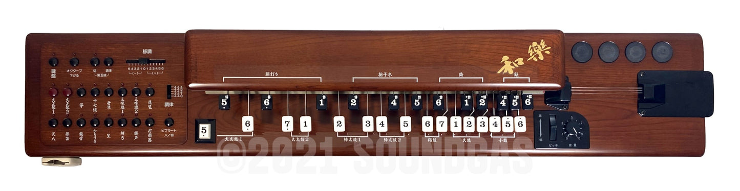 Suzuki TES-101 Waraku Koto Synth