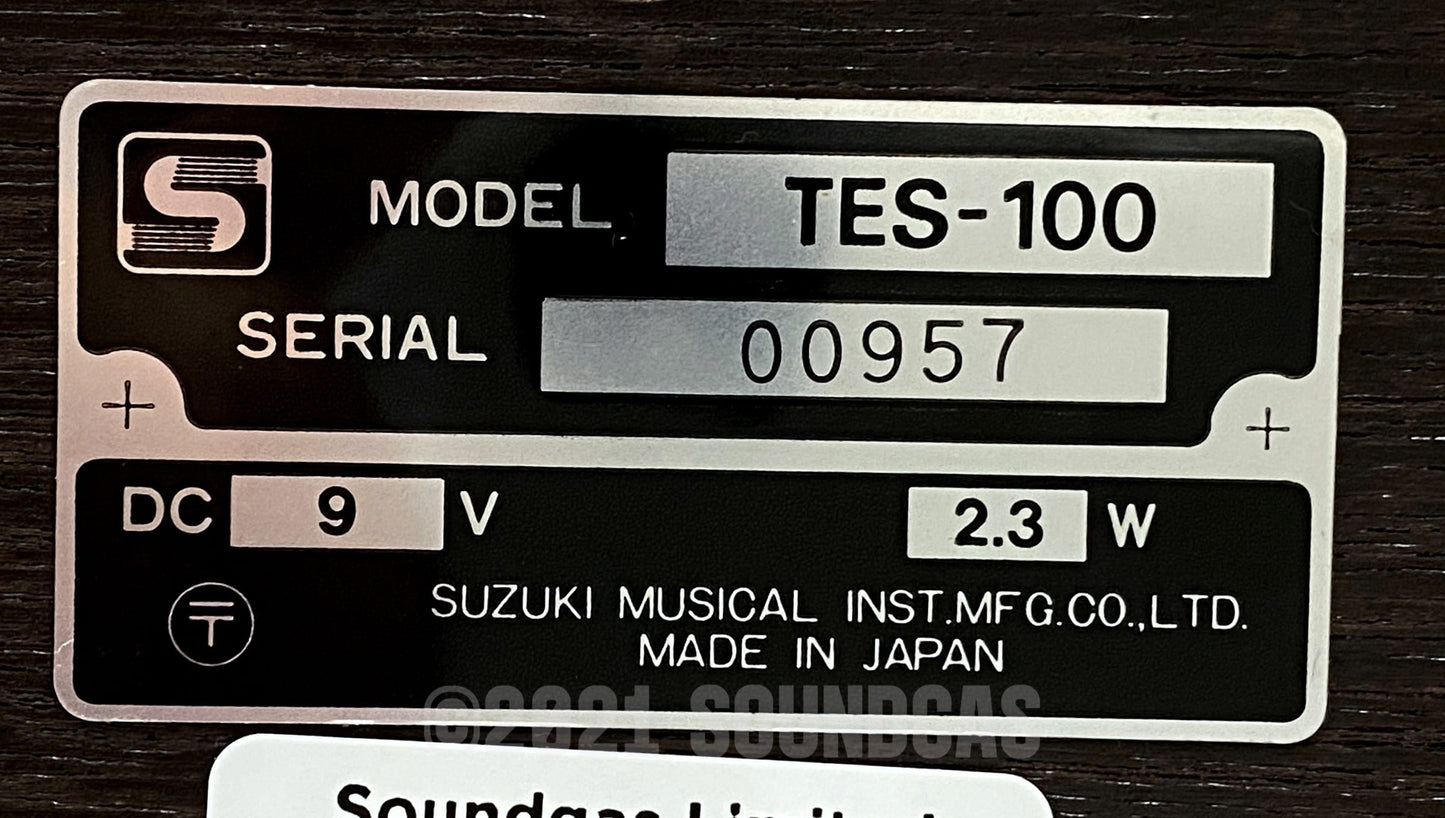 Suzuki TES-100 Taishogoto