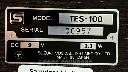 Suzuki TES-100 Taishogoto