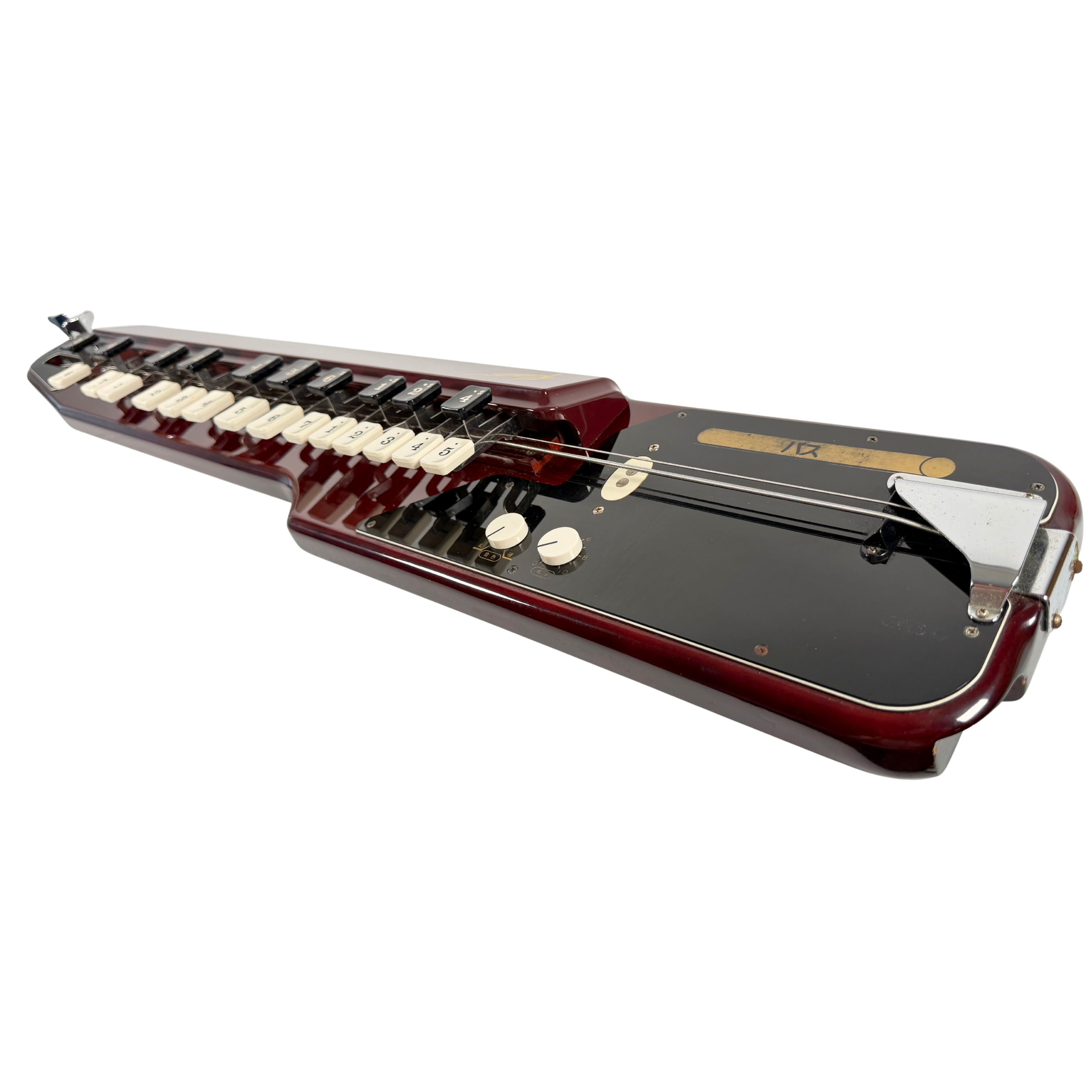 Suzuki Ran Bass Electric Taishogoto_2