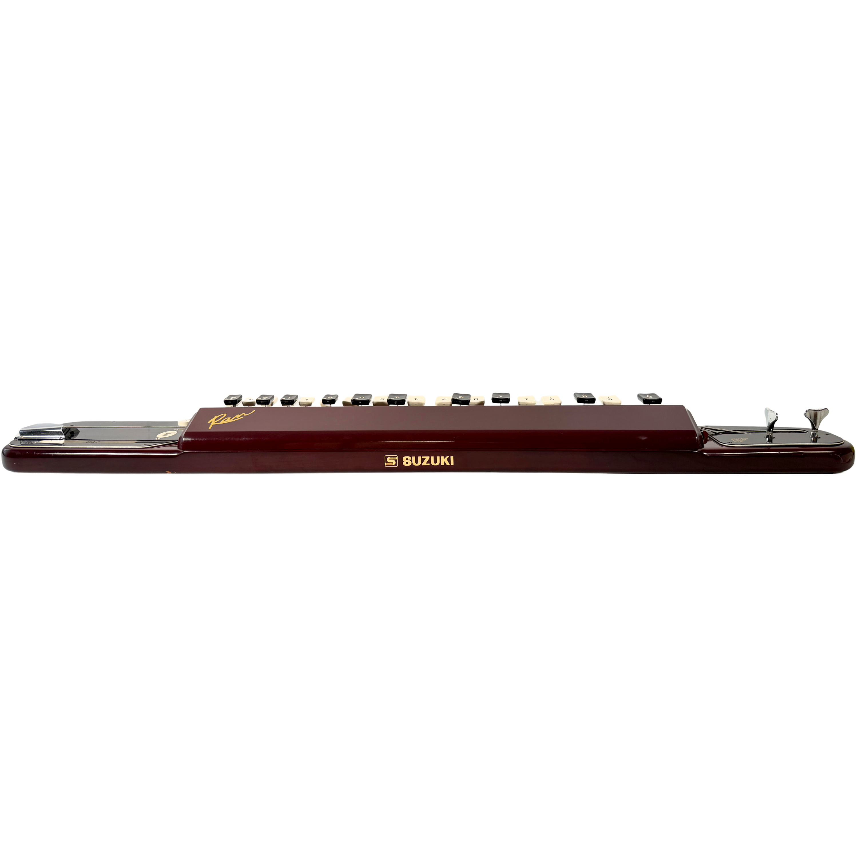 Suzuki Ran Bass Electric Taishogoto_4