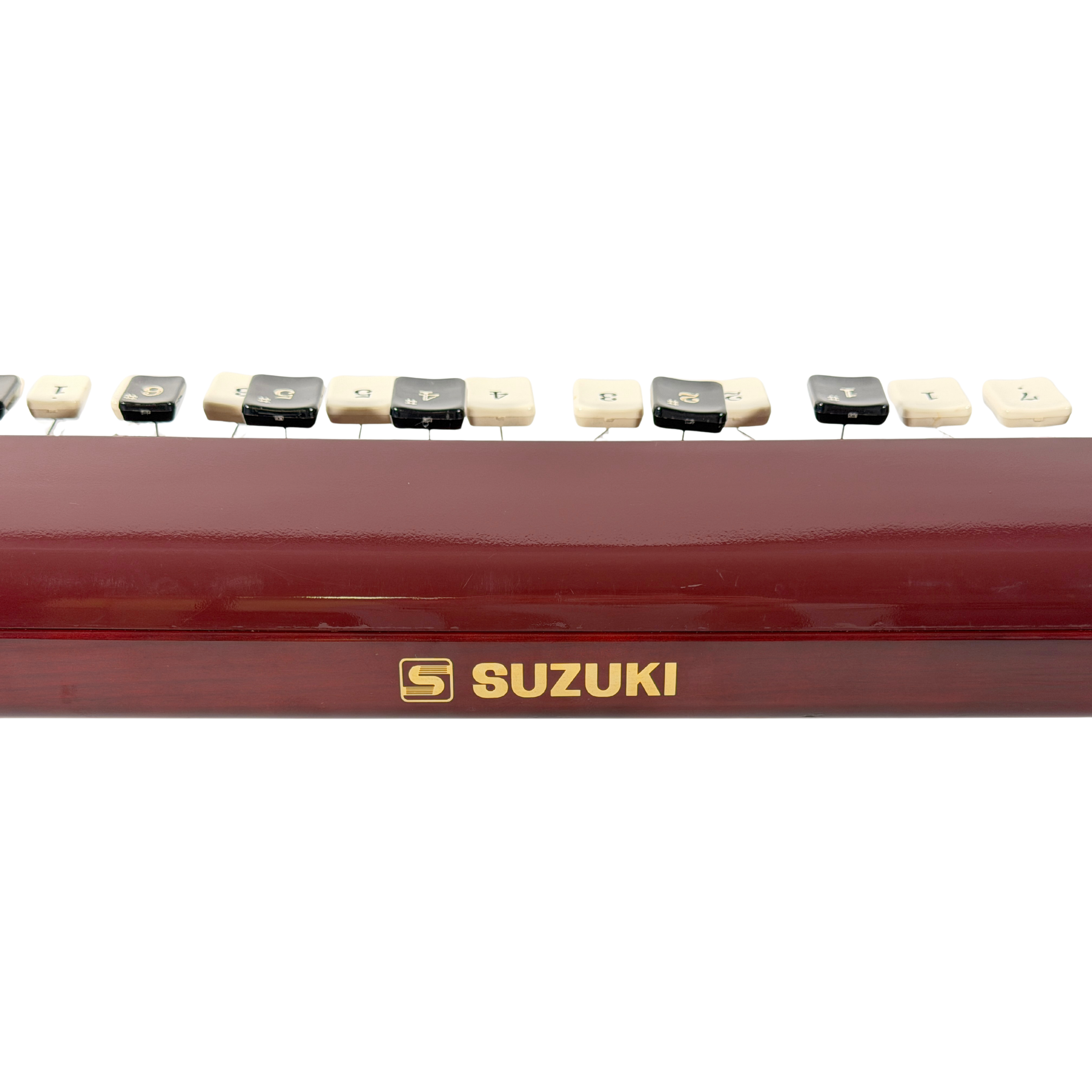 Suzuki Ran Bass Electric Taishogoto_7