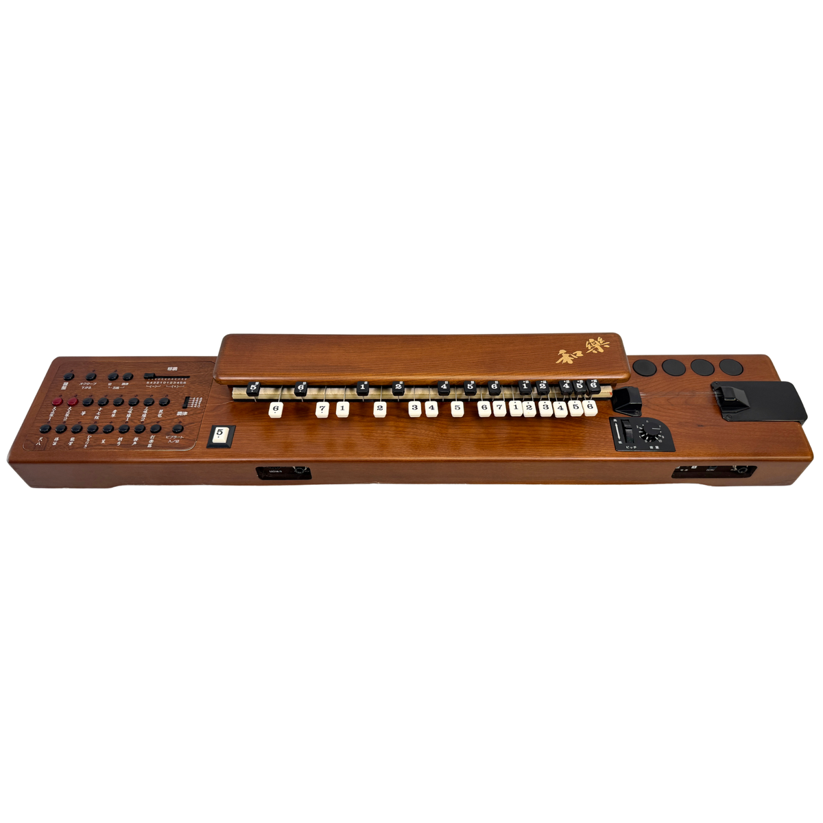 Suzuki TES-100 Waraku Koto Synth_2