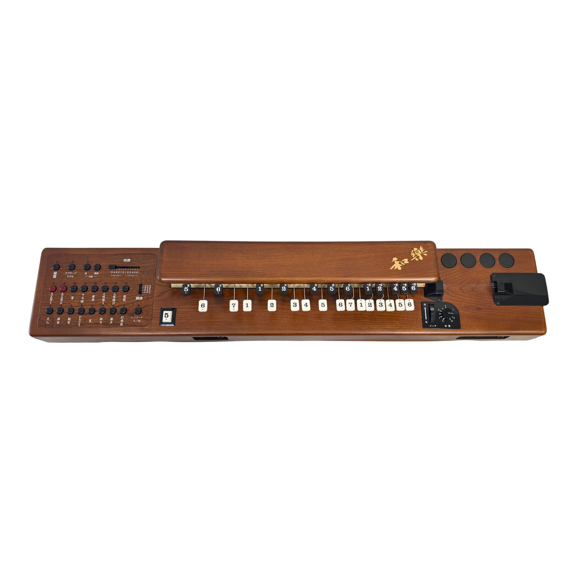 Suzuki TES-100 Waraku Koto Synth_3