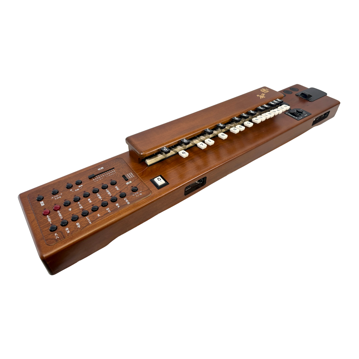 Suzuki TES-100 Waraku Koto Synth_4