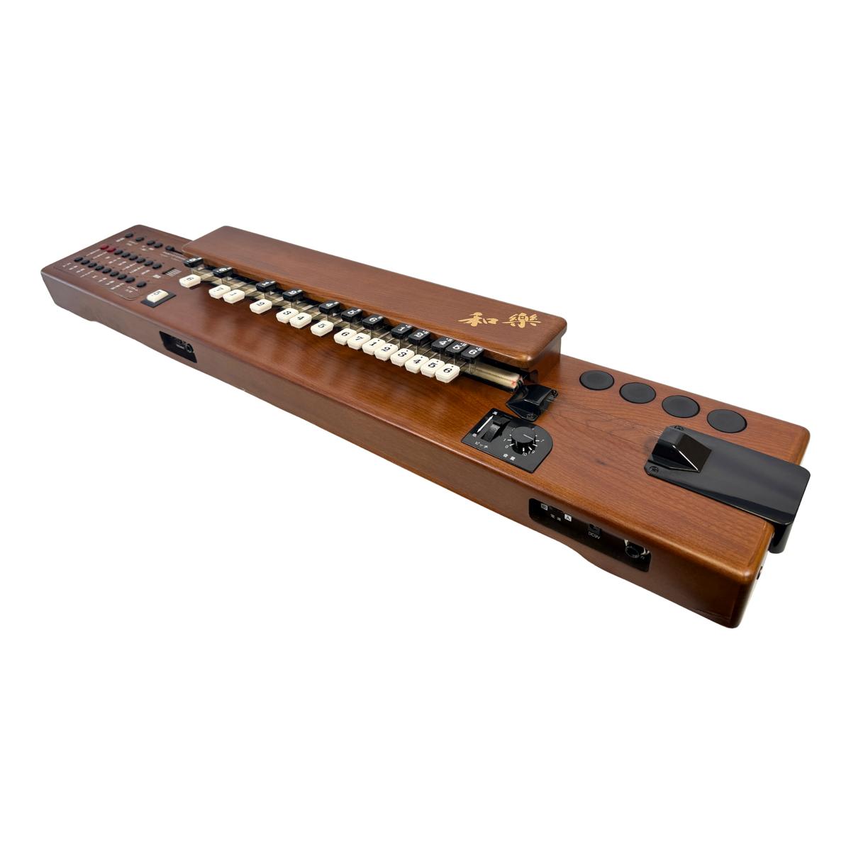 Suzuki TES-100 Waraku Koto Synth_6