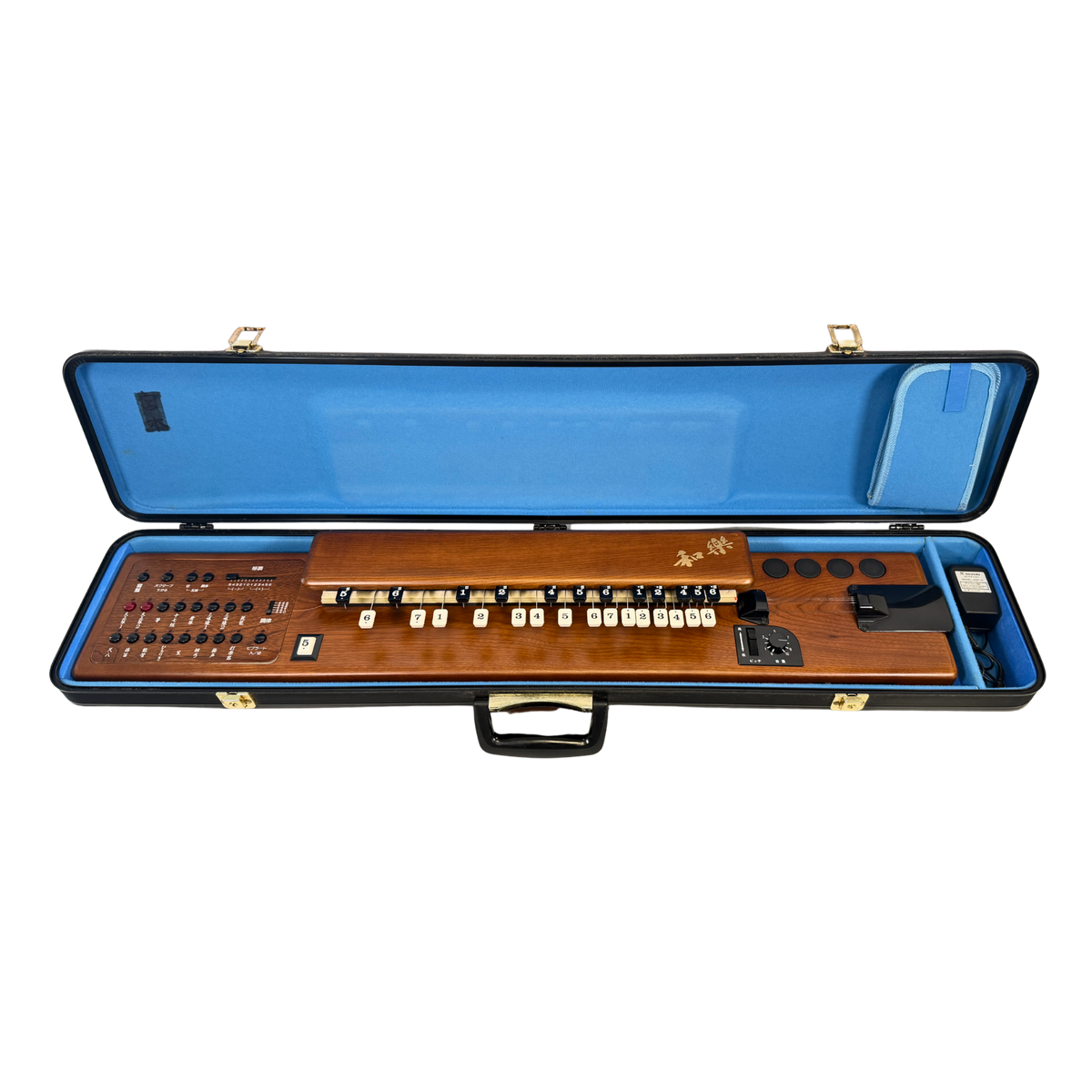Suzuki TES-100 Waraku Koto Synth