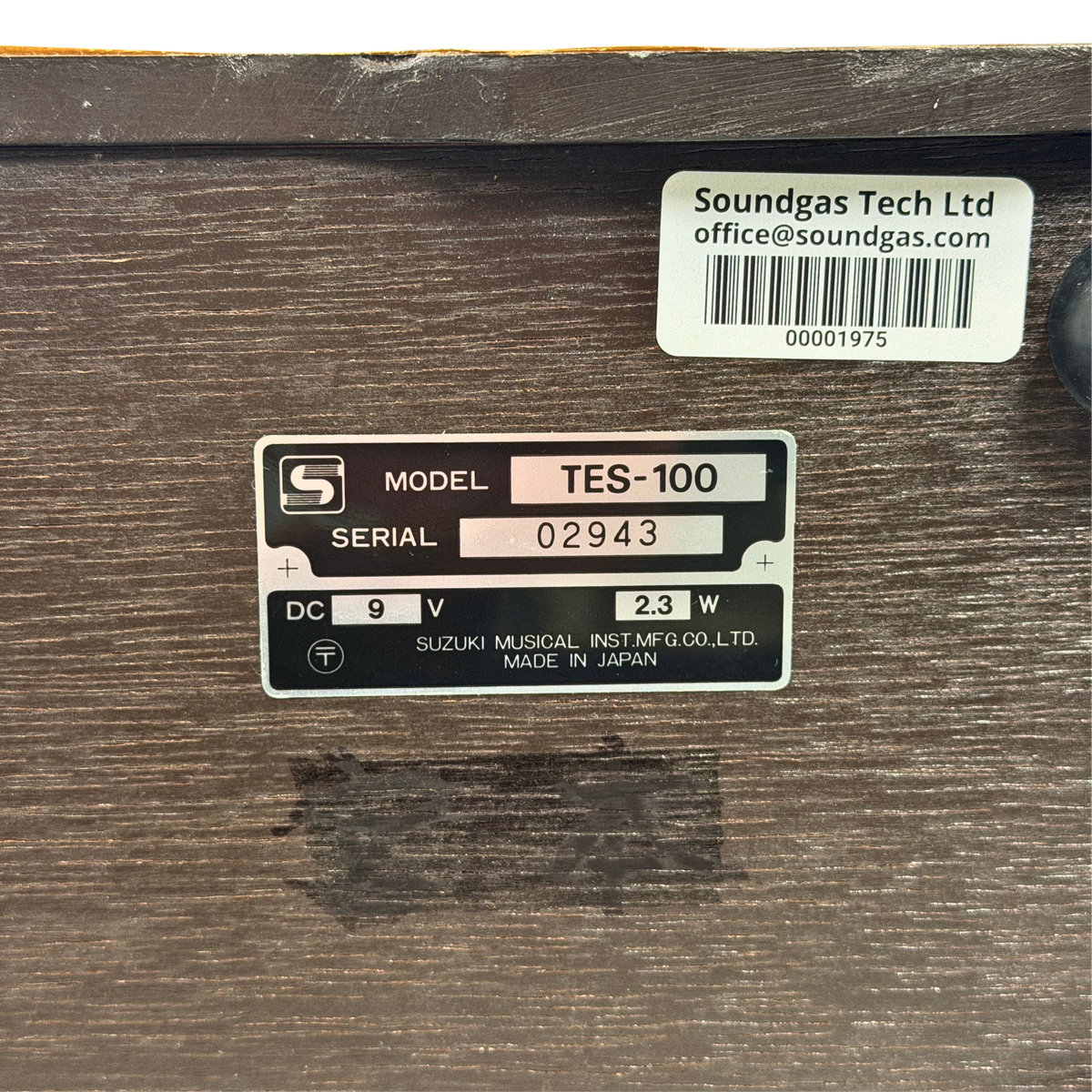 Suzuki TES-100 Waraku Koto Synth_8