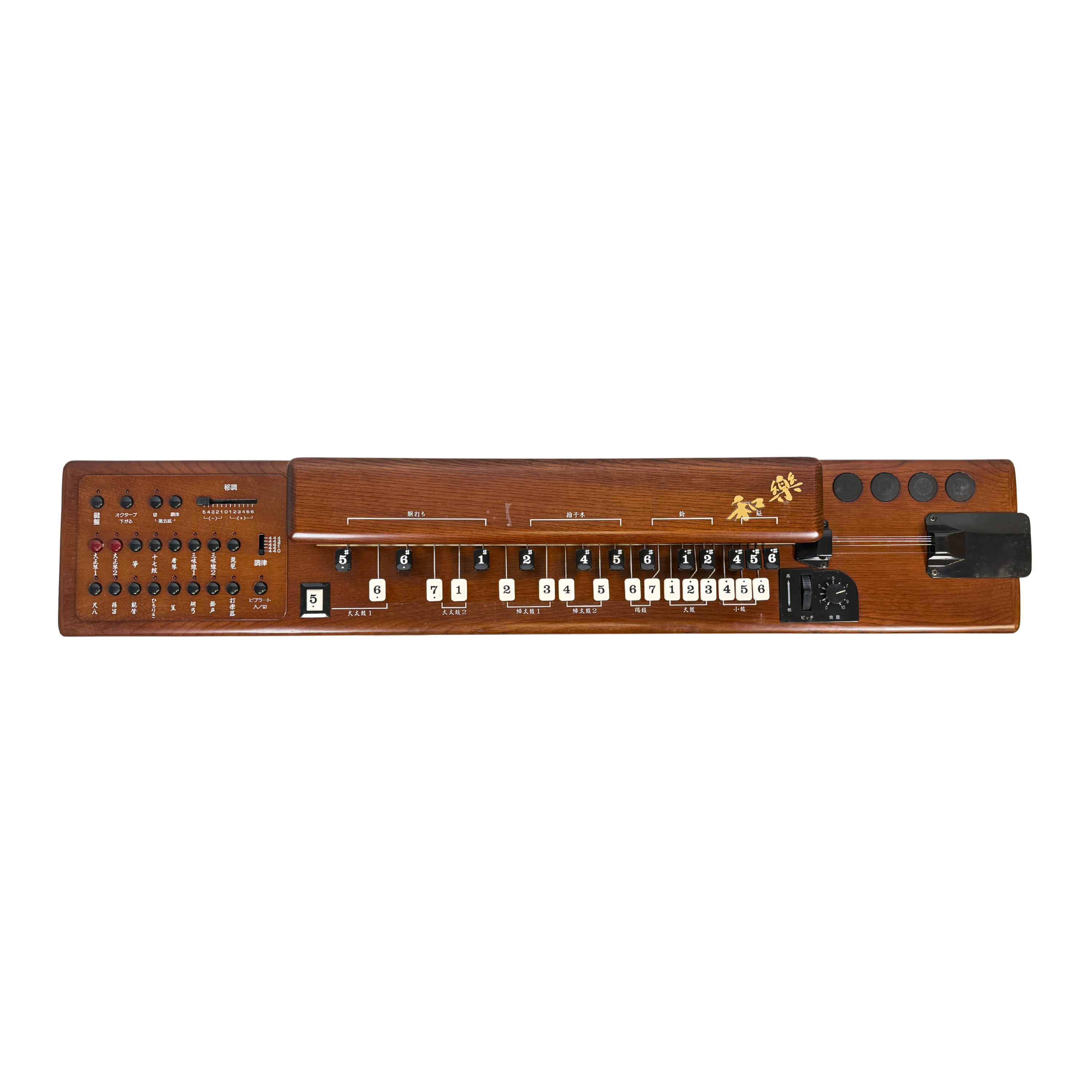 Suzuki TES-101 Waraku Koto Synth_2