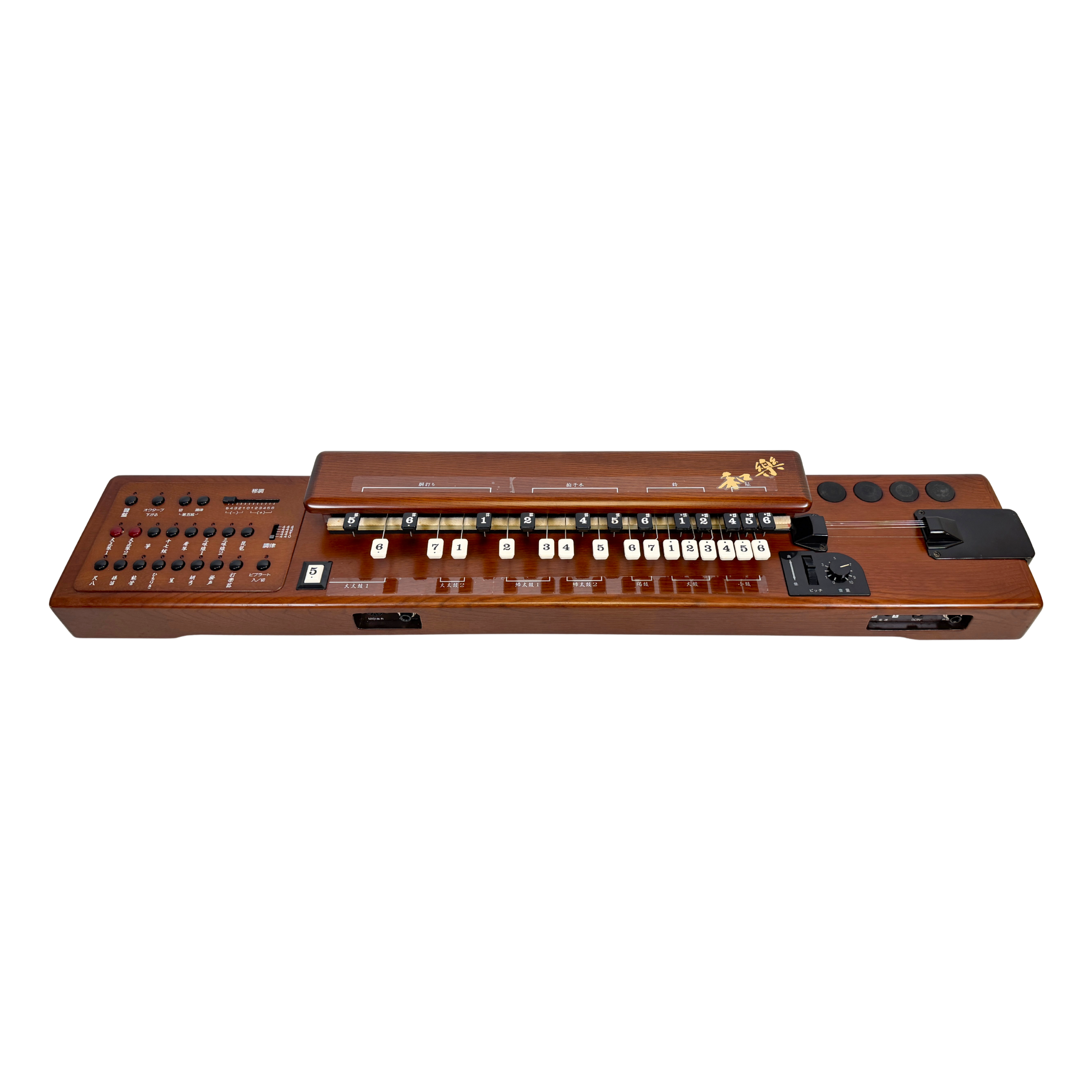 Suzuki TES-101 Waraku Koto Synth_1