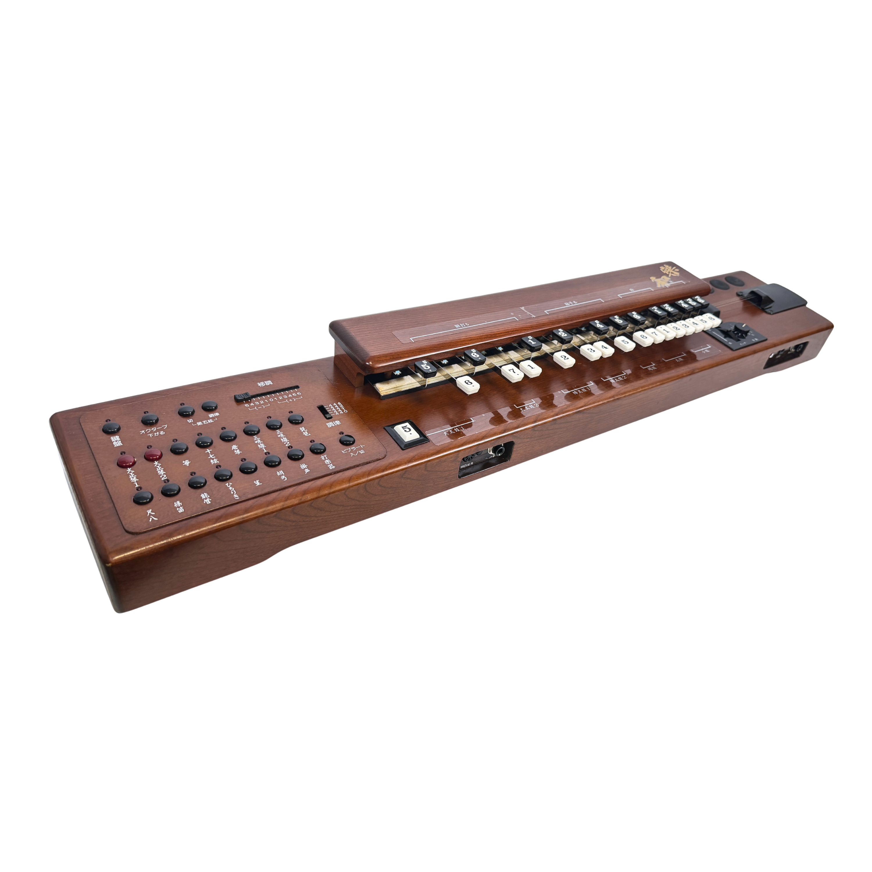 Suzuki TES-101 Waraku Koto Synth_3