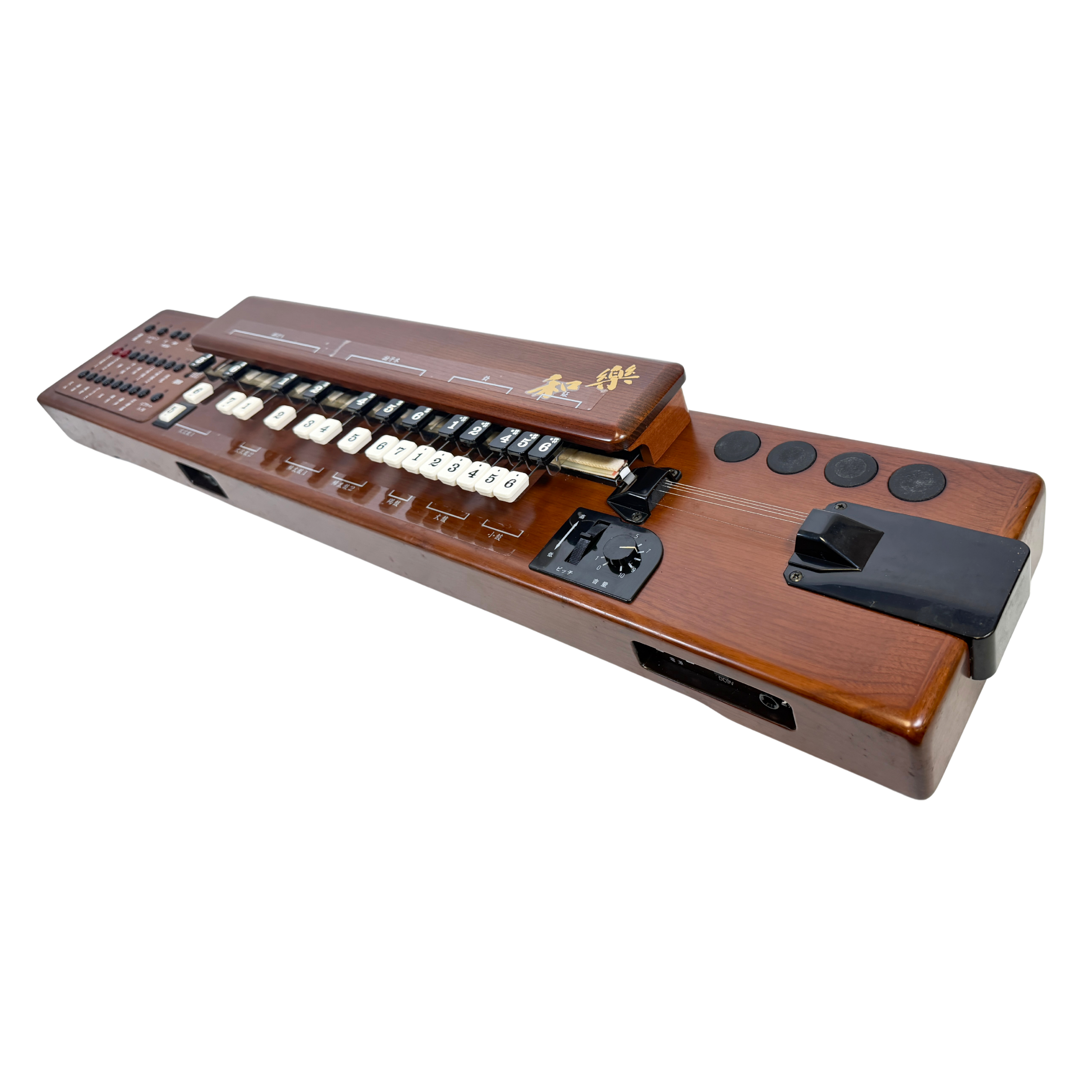 Suzuki TES-101 Waraku Koto Synth_4