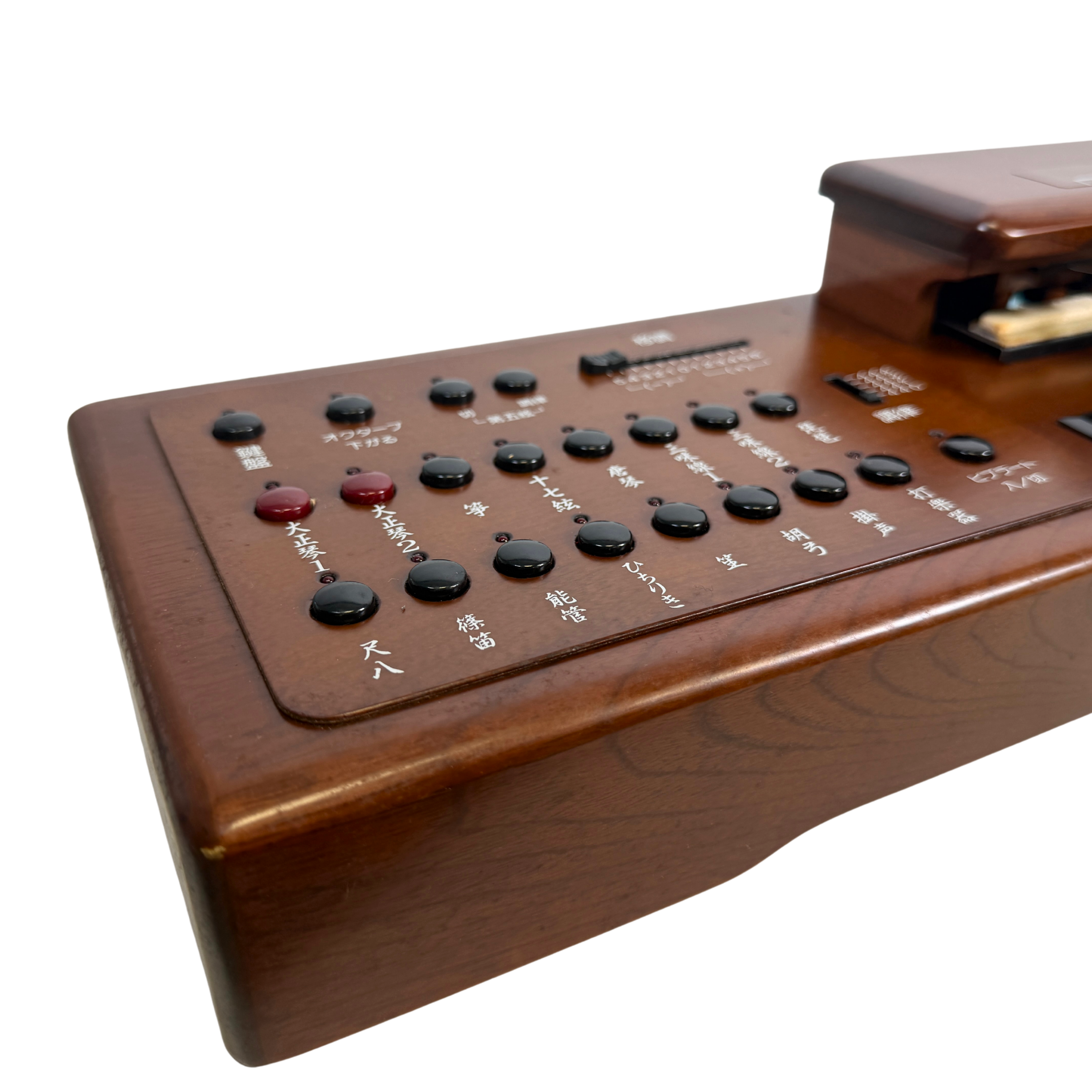 Suzuki TES-101 Waraku Koto Synth_5