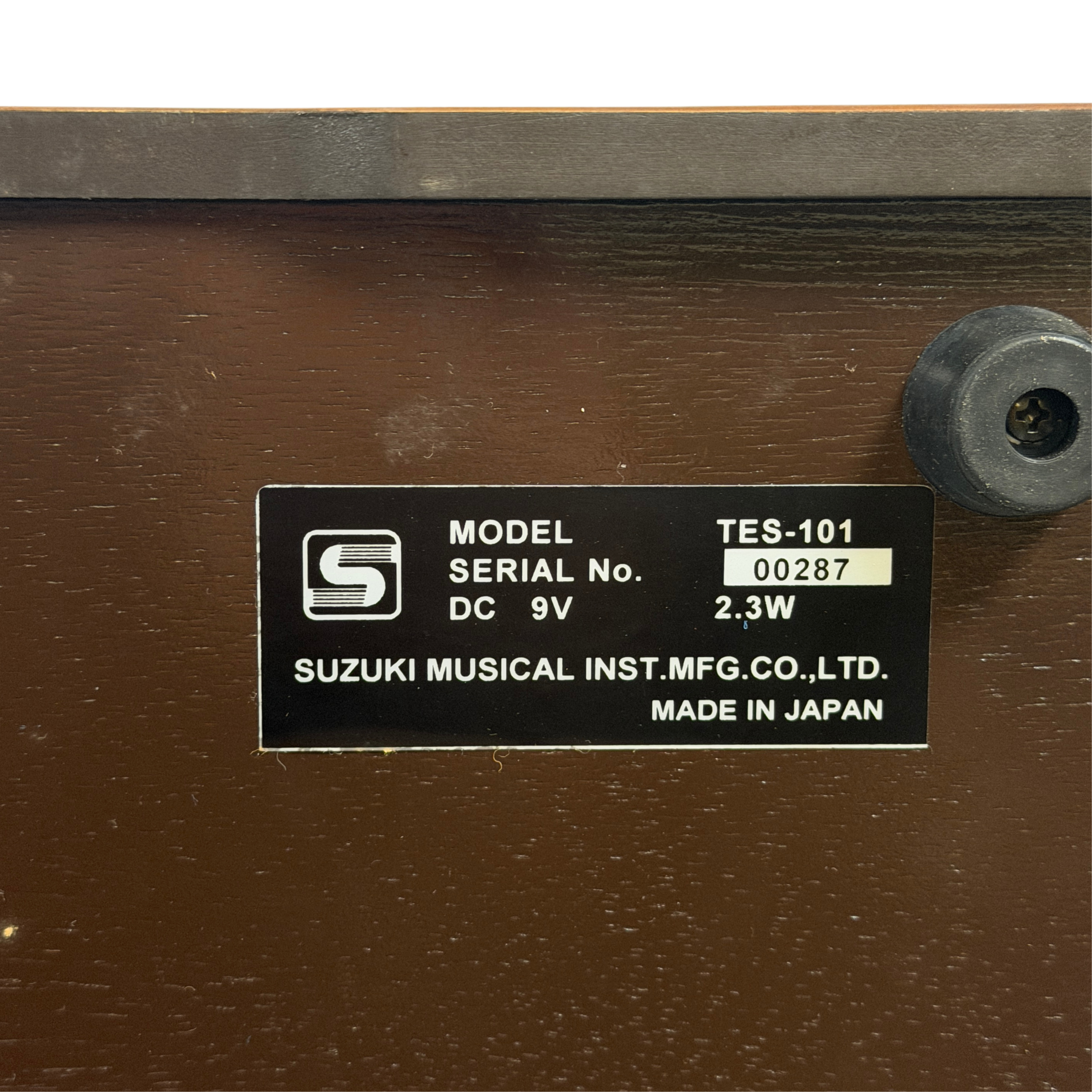 Suzuki TES-101 Waraku Koto Synth_7
