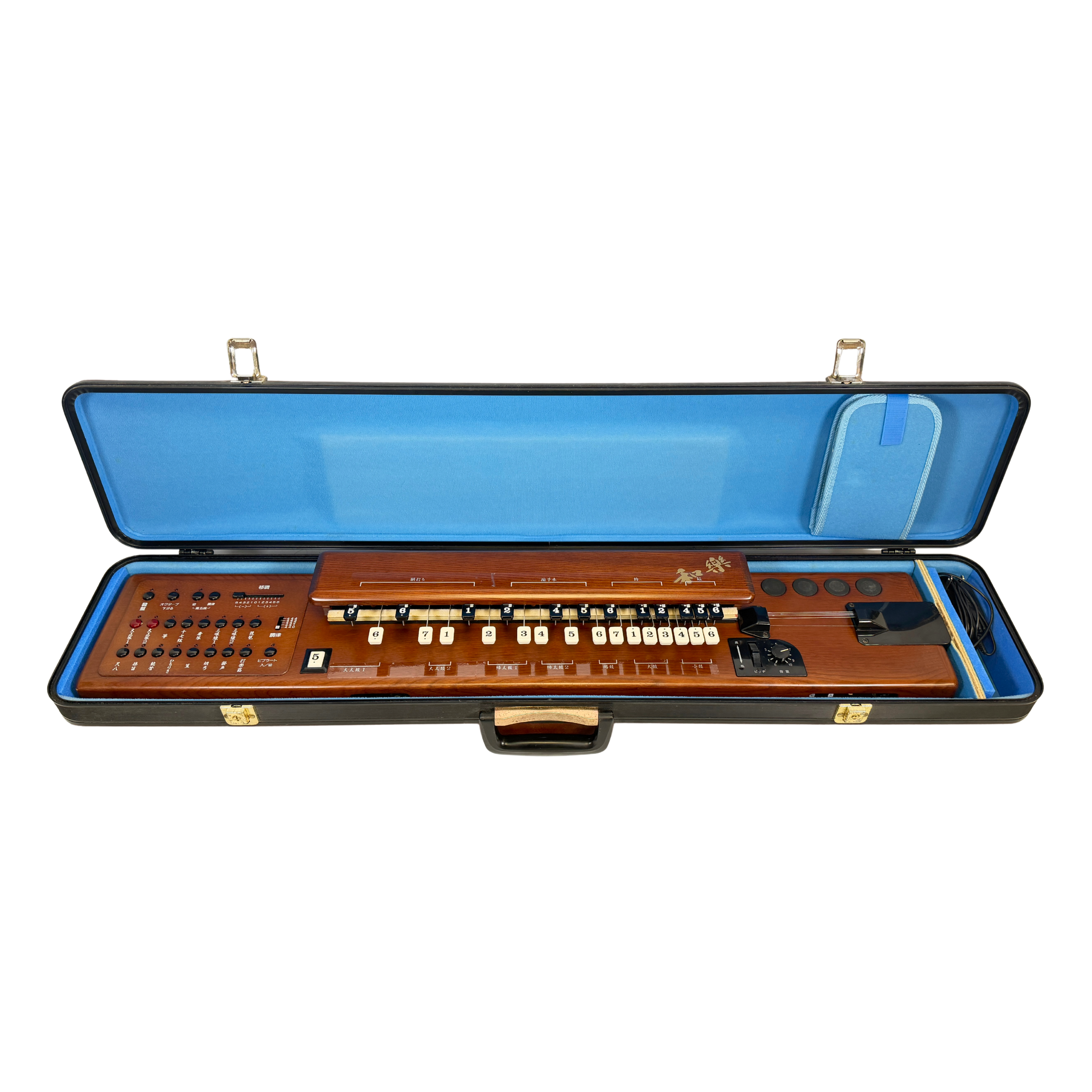 Suzuki TES-101 Waraku Koto Synth 