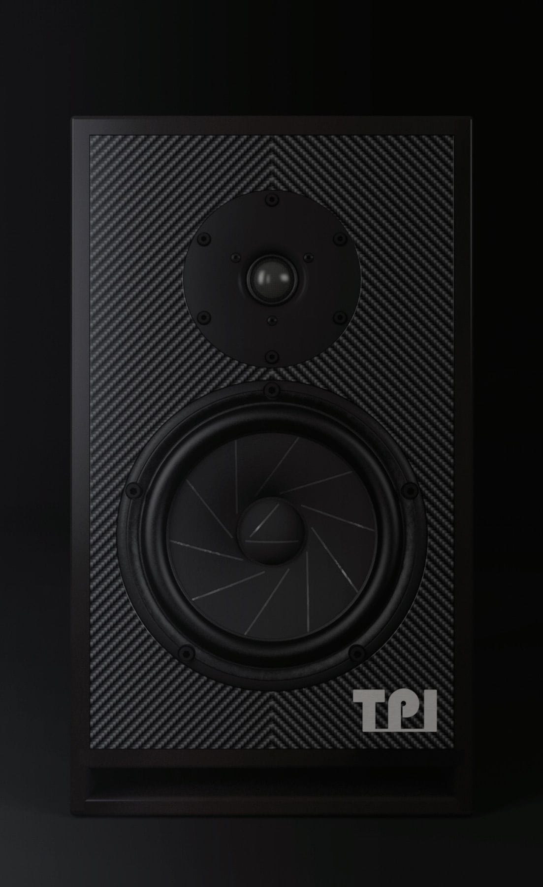 TPI RN1 Studio Monitors & PM161 Power Amp