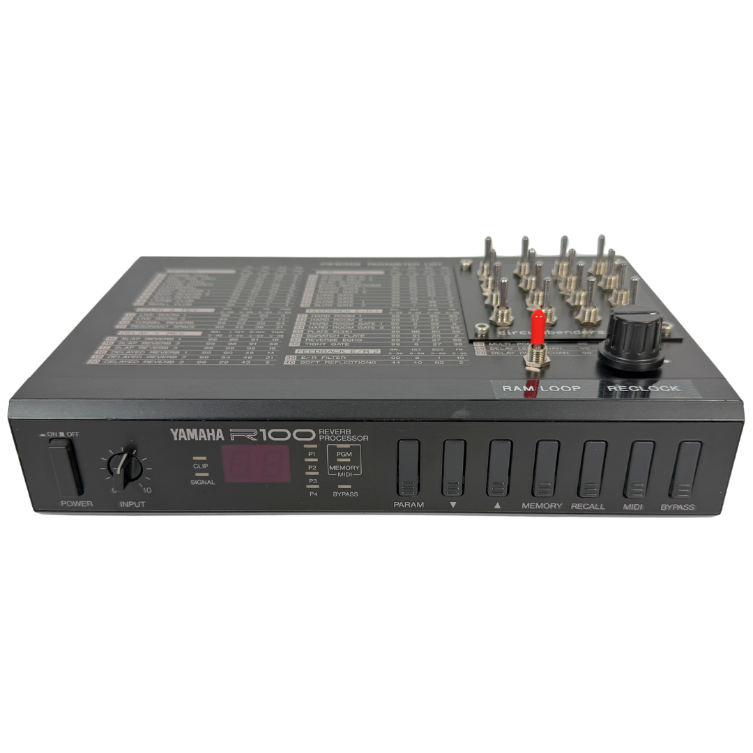Yamaha R100 Reverb Processor Circuitbent_1