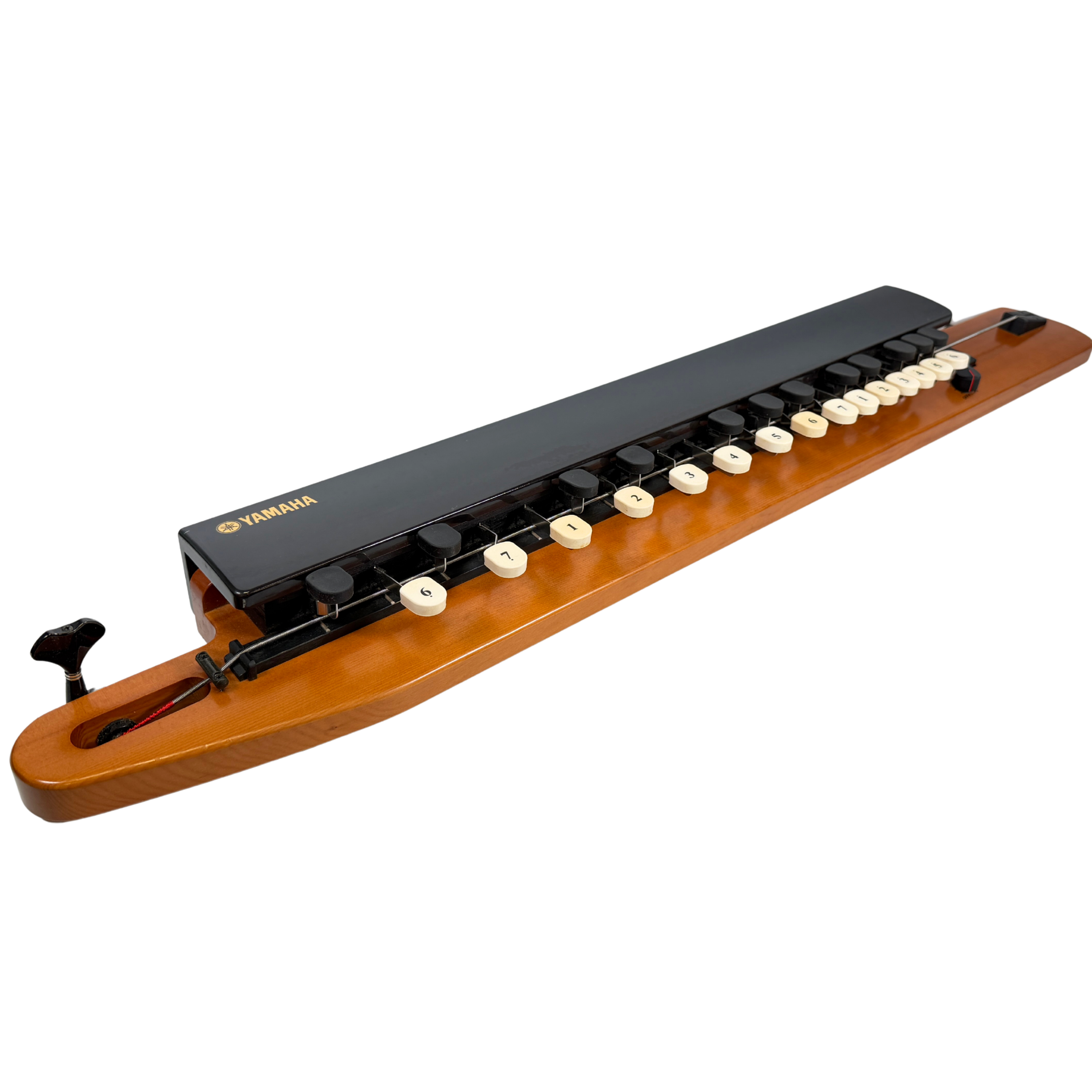 Yamaha SHB-30 Bass Violyre Taishogoto_3