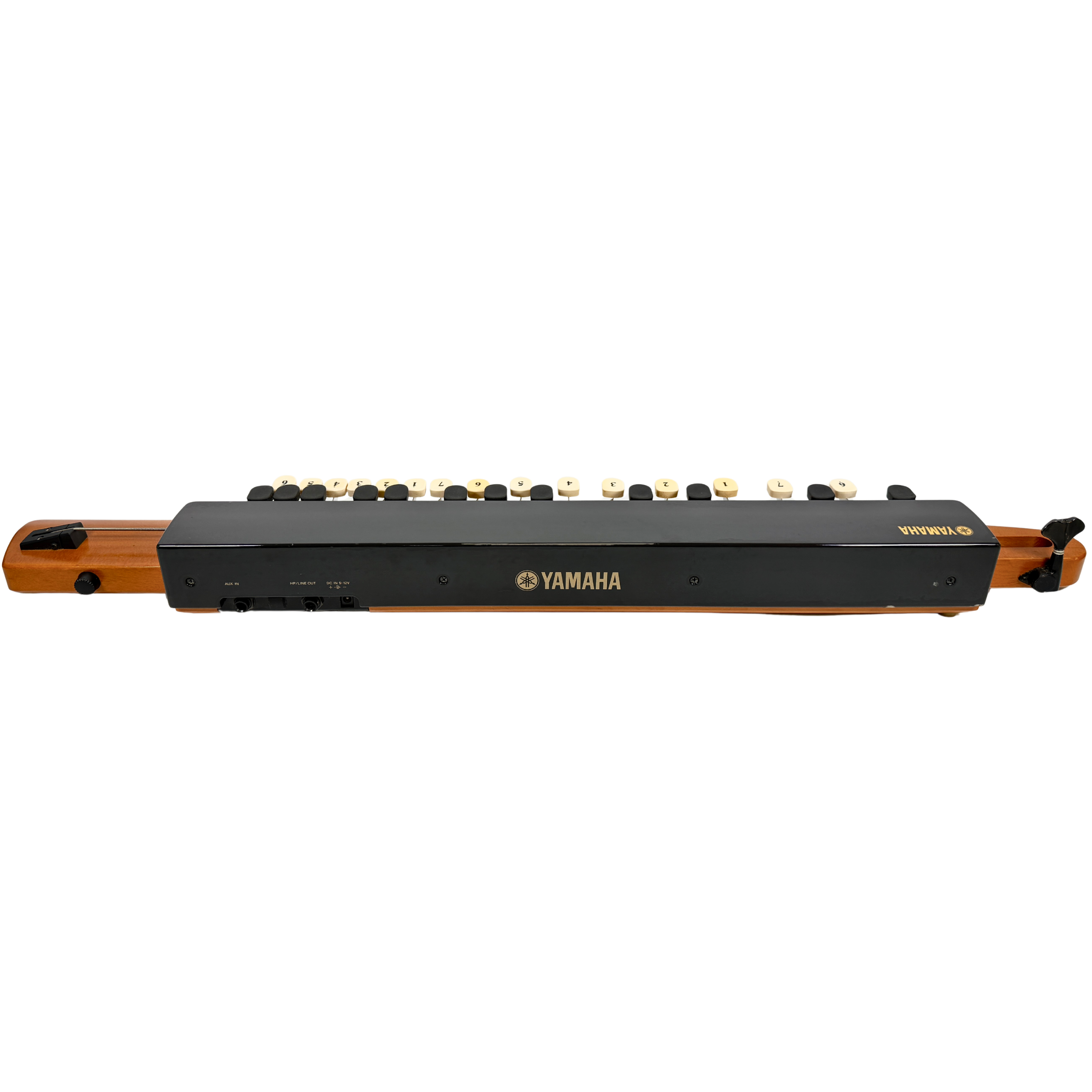Yamaha SHB-30 Bass Violyre Taishogoto_6