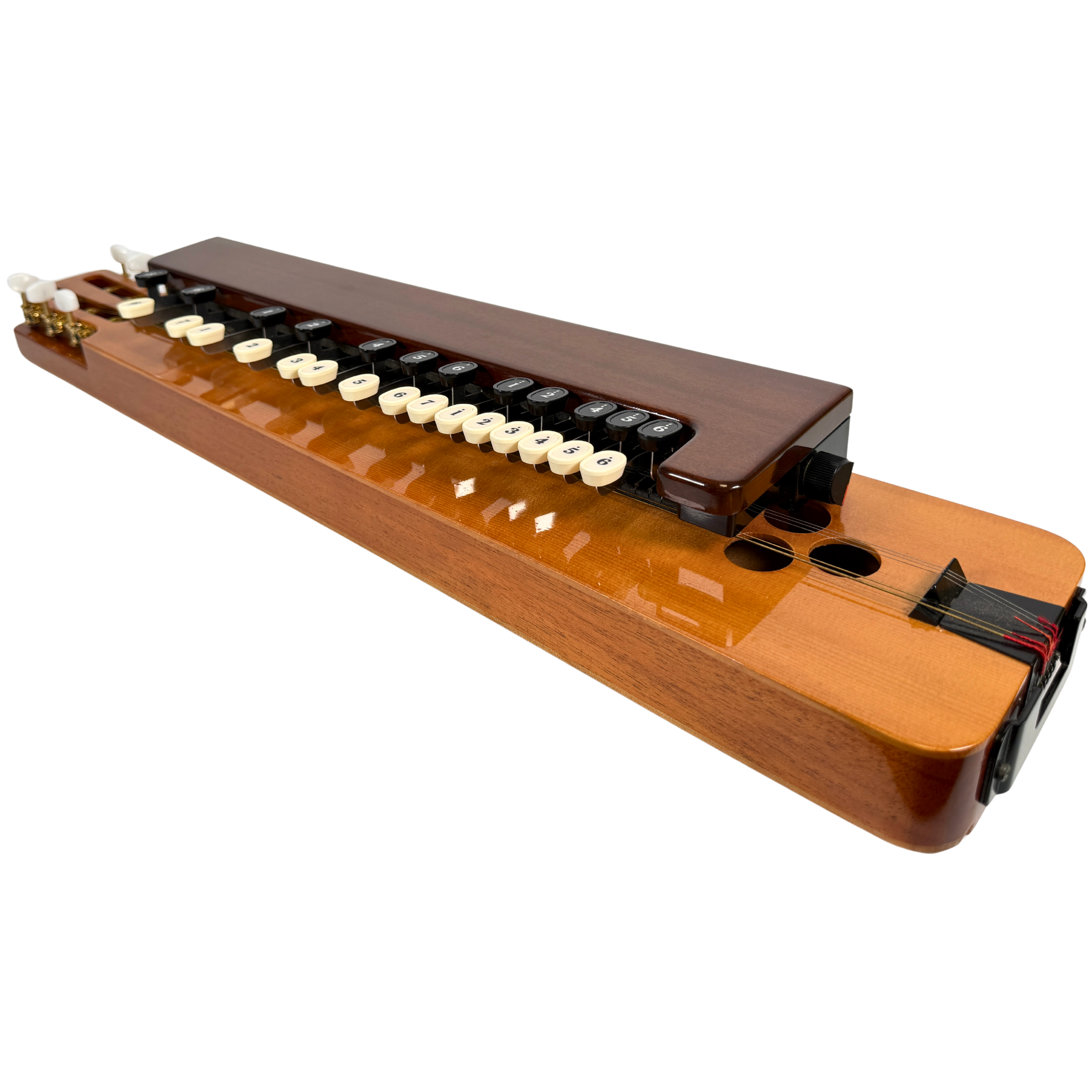 Yamaha TH-10E Electric Taishogoto_3