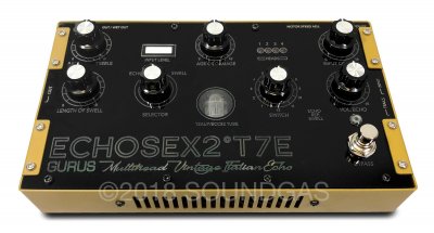 *NEW* Gurus Echosex 2º T7E Model