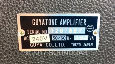 Guyatone VA-80 Professional Vocal Amplifier