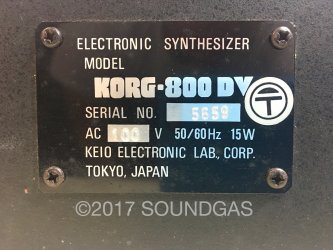 Korg Maxi-Korg 800DV
