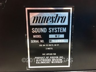 Maestro W-2 Sound System for Woodwinds