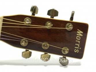 Morris MD-515 Acoustic Guitar